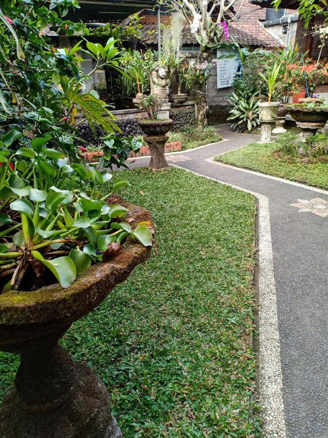 Degeg Ubud Homestay Ngoại thất bức ảnh